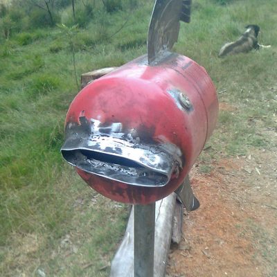 Fish Letterbox - front view